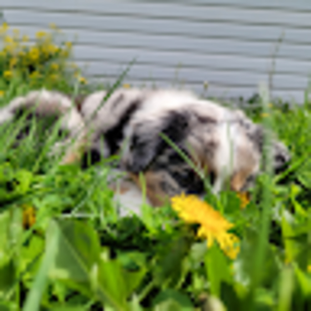 Meet your Posher, Autumn